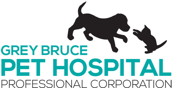 Grey Bruce Pet Hospital